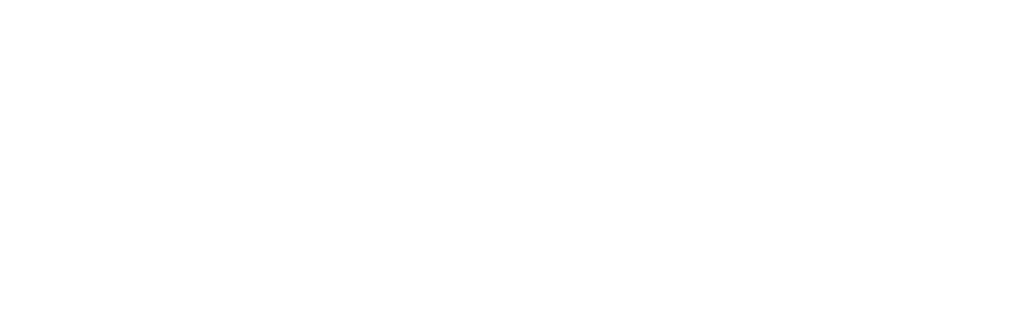 Pacific Developers Logo